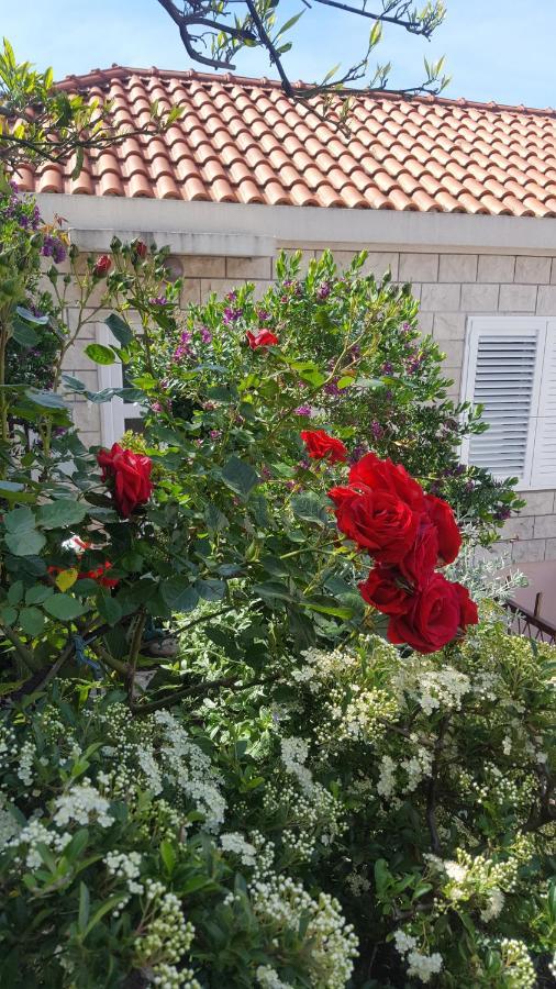 Guesthouse Ivona Dubrovnik Dış mekan fotoğraf