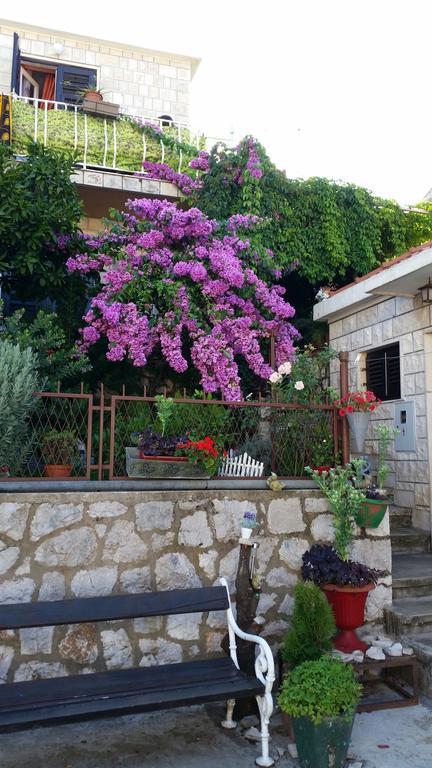Guesthouse Ivona Dubrovnik Oda fotoğraf