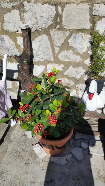 Guesthouse Ivona Dubrovnik Oda fotoğraf