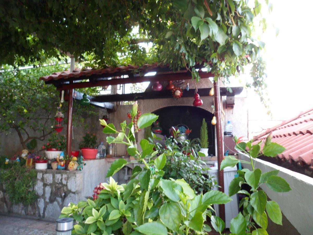 Guesthouse Ivona Dubrovnik Oda fotoğraf